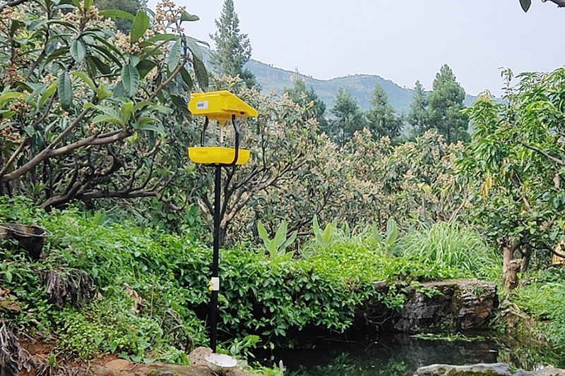 太陽(yáng)能果園殺蟲(chóng)燈效果怎么樣