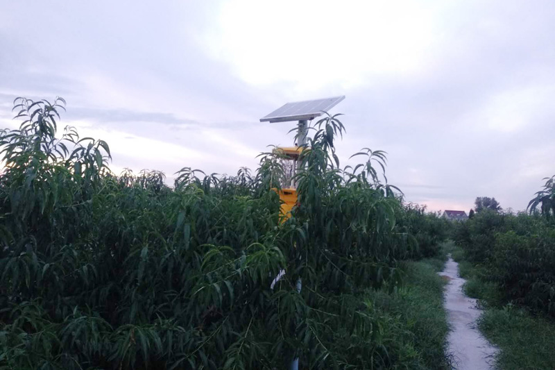 黑光燈多少錢？確定好黑光燈種類，不要買錯了